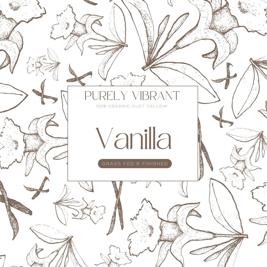 VANILLA whip - Dreamy soft and delicately aromatic